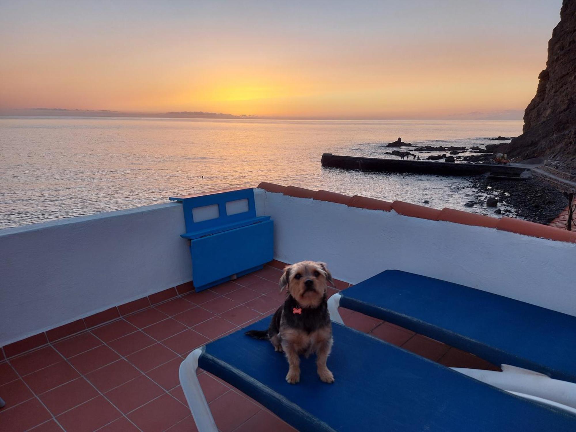 Vv Puesta De Sol Frente Al Mar Con Balcon Y Aire Acondicionado Daire Alojera Dış mekan fotoğraf